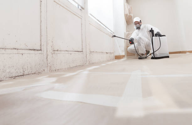 24/7 Emergency Commercial Mold Remediation experts in Johnstown, PA